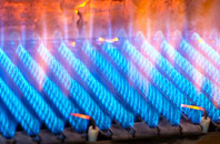 Wapley gas fired boilers